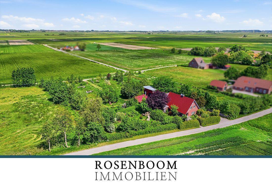 Real Estate Title Image Background