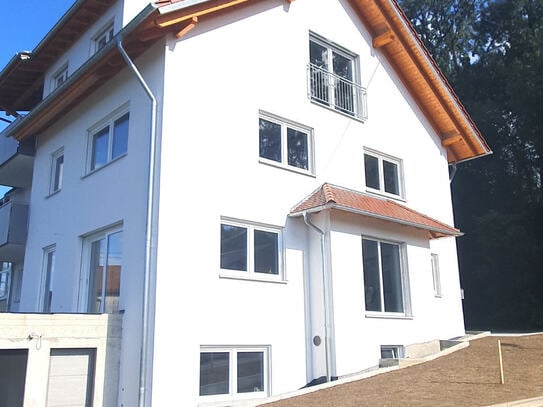 1-Zimmer Appartement in Ochsenhausen-Mittelbuch