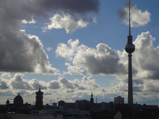 2-Raum-Apartment - ideal zentral in Berlin Mitte-Superblick - möbliert, Vollausstattung