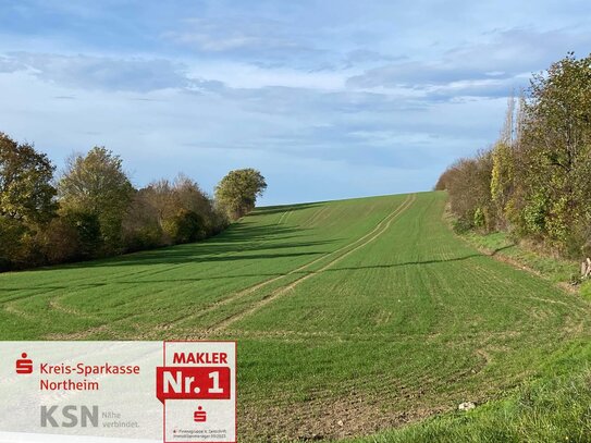 Ackerfläche für die Zukunft ausgerichtet!