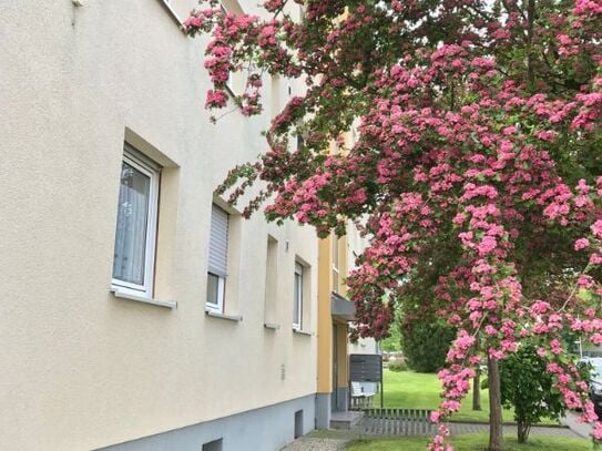 Geräumige 4-Zimmer-Wohnung sucht Nachmieter!