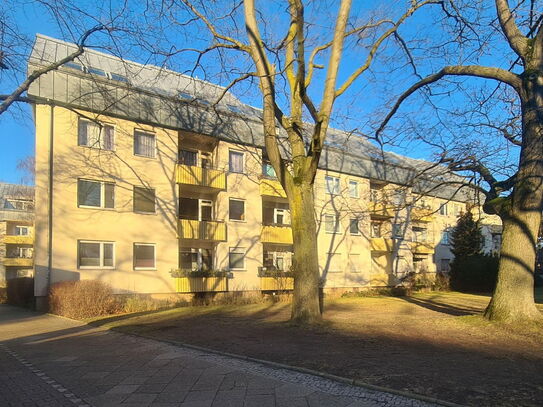 Schöne helle Wohnung in Mariendorf