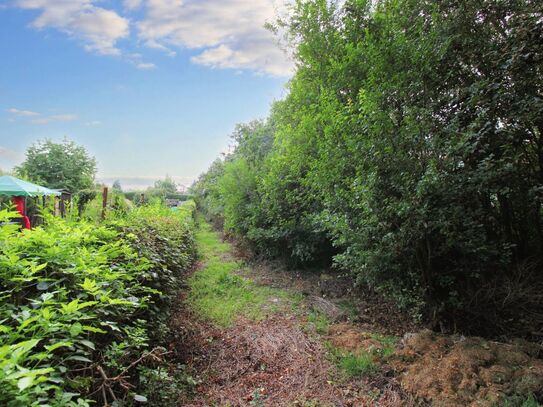 Zeit zur Entspannung: Großes Gartengrundstück in ruhiger Lage von Teutschenthal