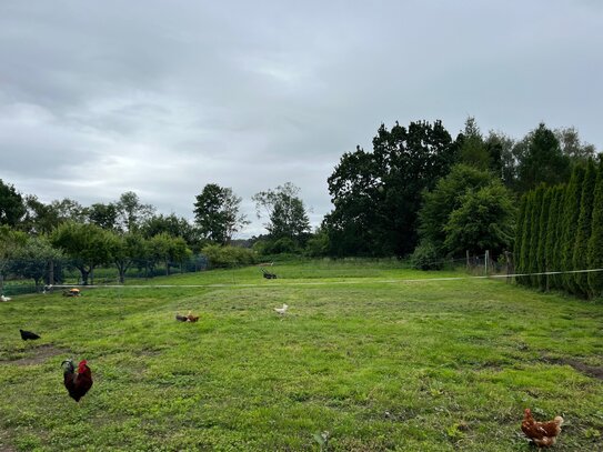 Baugrundstück mit optionaler Wiesenfläche in der Ortschaft Sandbeiendorf