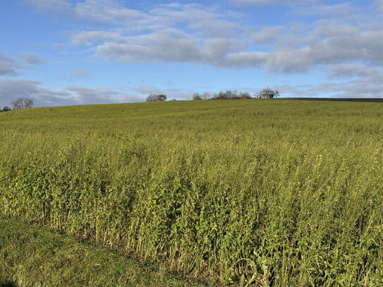 Landwirtschaftliche Flächen in Weng in der Nähe des Ortsteils Hinzelbach