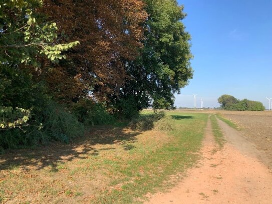 Grundstück mit Weitblick, ideal für Naturliebhaber