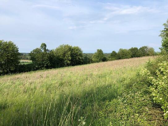 Wohnen "AM REHBERG" mit Blick auf den Arber