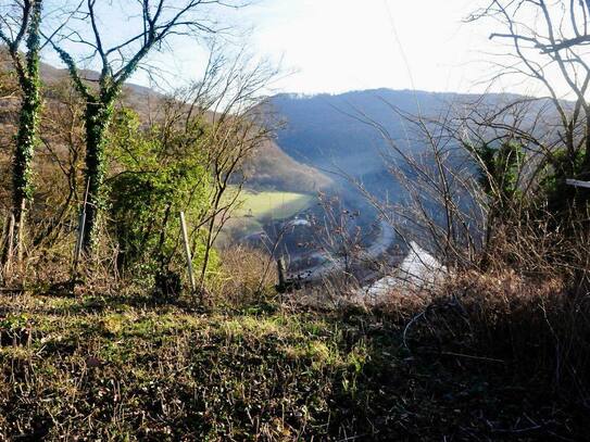 Baugrundstück mit einmaliger Sicht auf die Saar in ruhiger Lage