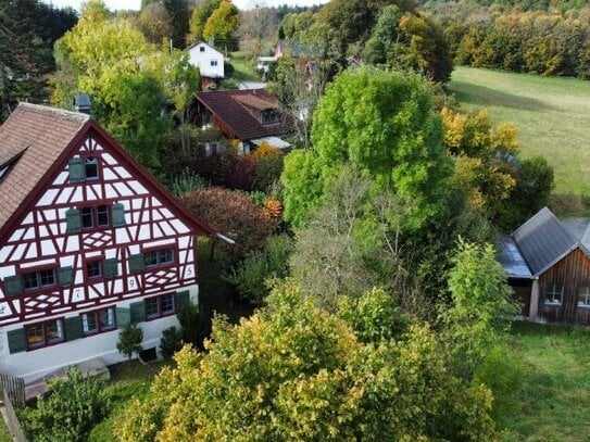 RARITÄT: SANIERTES FACHWERK/HANDWERKERHAUS - 5-ZIMMER-ETW MIT EBK