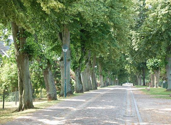 Herrliches Bauland in Alt-Schwerin