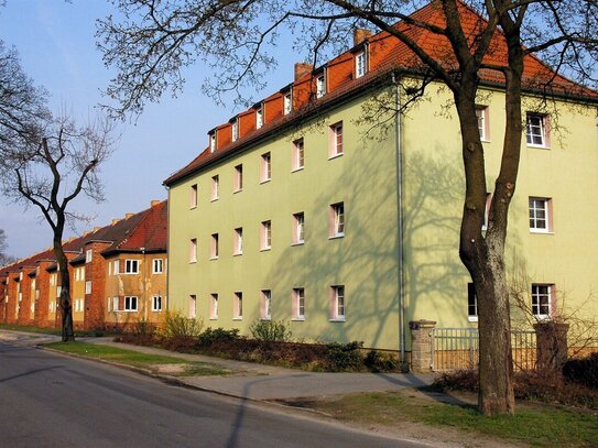 Wohnung in Finsterwalde