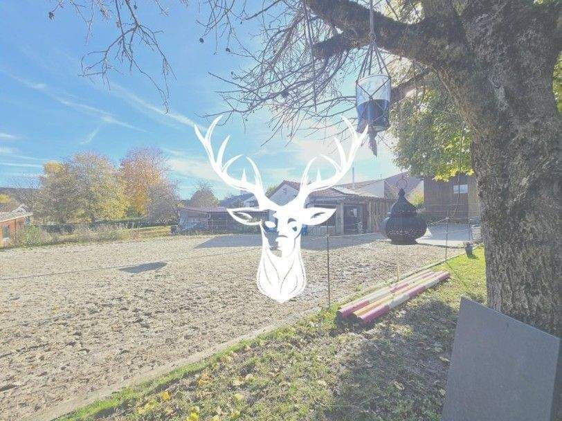 Immobilie in Leibertingen - Stilvoller Pferdehof mit flexiblem Gewerberaum, zwei Wohnungen und 1,3 ha arrondierter Fläche direkt am Hof in Leibertingen im Donautal - Bild 0