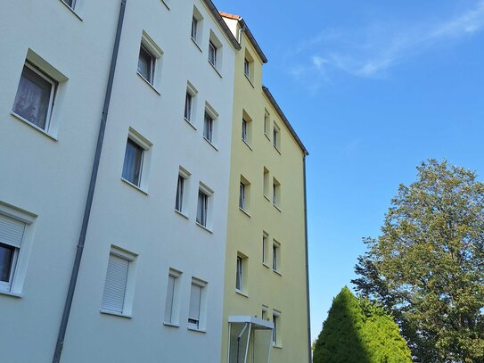 3- Raumwohnung mit Einbauküche NEU renoviert