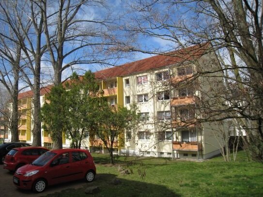 Verkehrsgünstige ruhige Stadtrandlage, 3 Zimmer mit Balkon