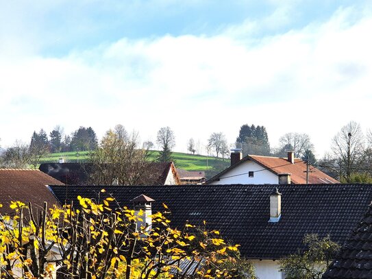 Sonnige und großzügige Zweizimmerwohnung mit überdachten Südbalkon in Klosternähe!