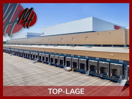 TOP-LAGE - EBEN - Moderne Lager-/Logistikflächen (10.000 m²)