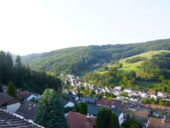 Wohnen auf Zeit !! Nähe Weinheim