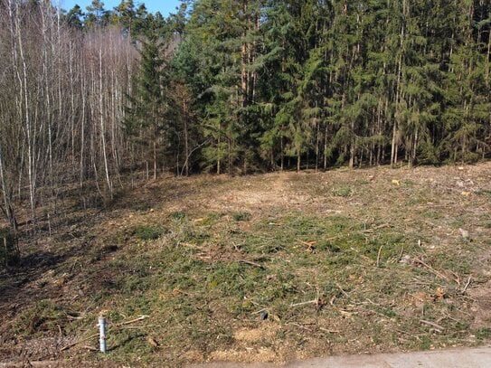 Großzügiges Grundstück in Seenähe zum Verkauf