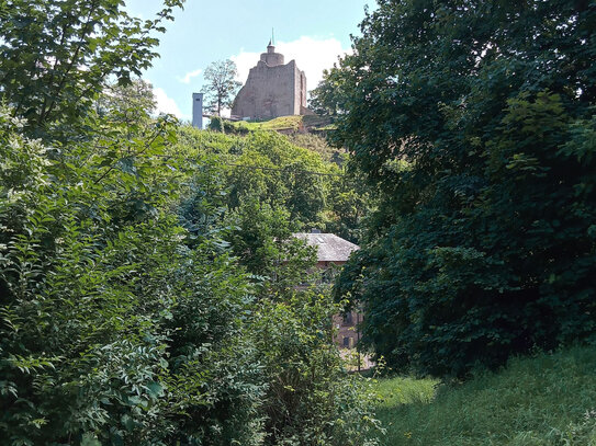 Baugrundstück in Saarburg