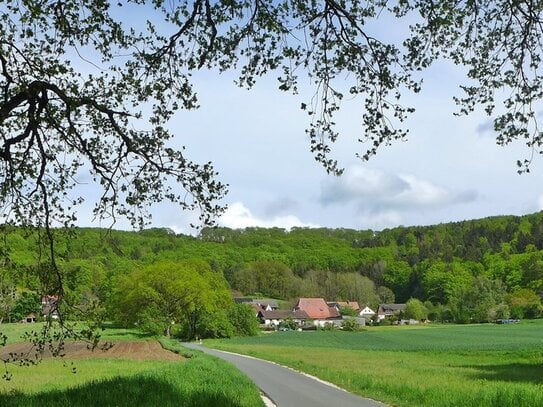 RUHIGE LAGE LEINBURG/ERNHOFEN: GROSSES BAUGRUNDSTÜCK FÜR EFH UND DHH NAHE AB-AUSFAHRT ALTDORF