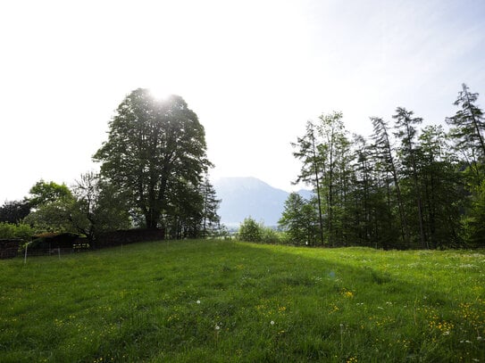 Grundstück in exponierter Lage, mit Panorama Blick am Waldrand