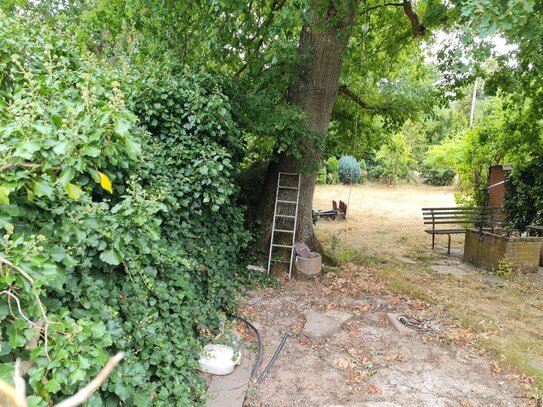 2 Idyllische Baugrundstücke Wiltingen - Eben, ruhig in einer Sackgasse, im hinteren Bereich ein Bachlauf, Pferdekoppel…