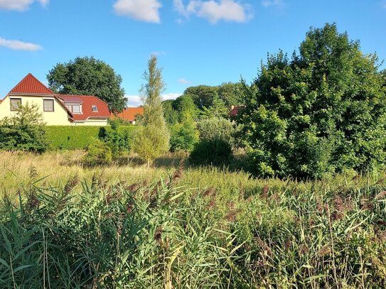 erschlossenes Baugrundstück in Canzow, bei Woldegk auch Mühlenstadt genannt