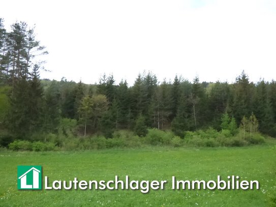 Ihr eigener Wald! Mischwald bei Velburg - Ronsolden