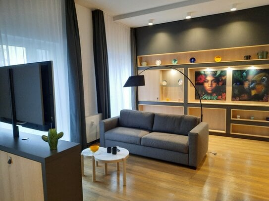 Furnished 1-Room-Business-Apartment (Urban Large) 01.03.2025