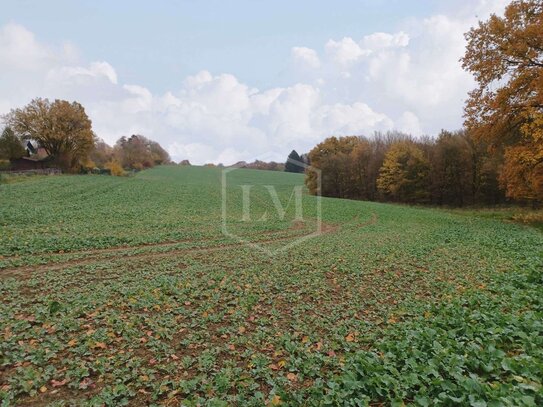 Land- und forstwirtschaftliche Flächen in Hennef