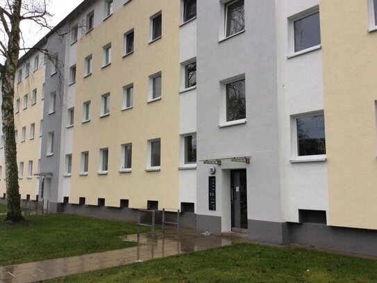 Moderne Wohnung im Hochparterre mit Balkon. Frisch für Sie renoviert.