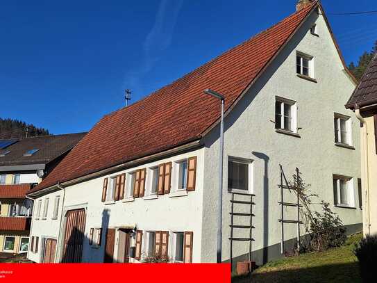 Bauernhaus mit Potential und großem Grundstück in Reichenbach