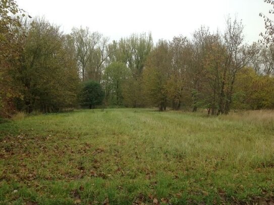 Naturnahes Baugrundstück in Satow