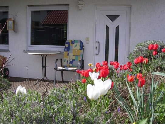 1-Zimmerwohnung mit Internet, TV, Küchenzeile, Du/Wc und Terrasse