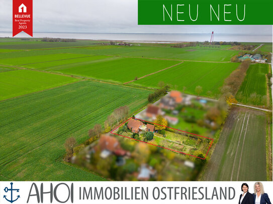 Einen Steinwurf vom Deich: Teilmodernisiertes Einfamilienhaus mit Nebengebäude auf weitläufigem Grundstück