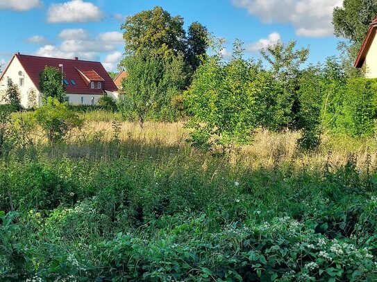 erschlossenes Baugrundstück in Canzow, bei Woldegk auch Mühlenstadt genannt