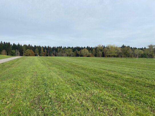 Ebenes, ruhiges Baugrundstück in zentraler Lage in Herzogsweiler