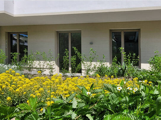 ERSTBEZUG | Barrierefreie Whg. mit fantastischer Terrasse | Dusche | EBK | Amb. Pflegedient im Haus