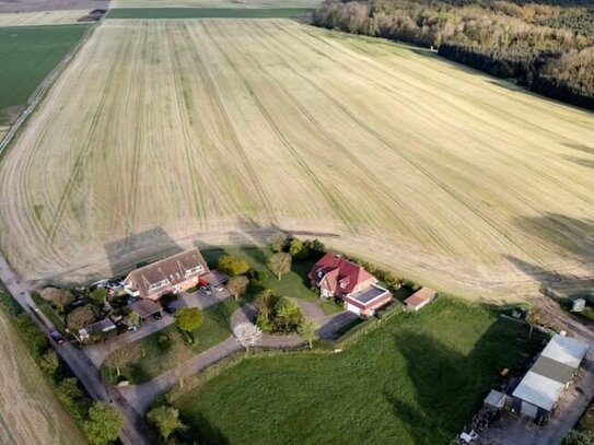 Pferd, Schaf, Landwirtschaft! EFH mit 7 ha Land