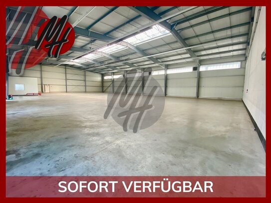 VERKAUF - Gewerbeobjekt mit Lager-/Produktion (900 m²) & Büro-/Sozial-/Service (750 m²)