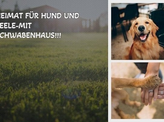 Heimat für Herz und Seele