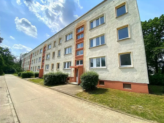 Helle 4 Zimmerwohnung mit Balkon 6 Monate SKY-Abo inklusive!