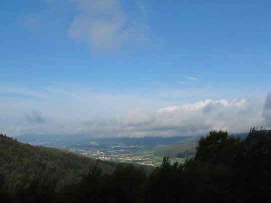 Sonniges Haus, 3 kpl. Wohnungen, Alleinlage, unverbaubarer Fernblick, Urlaubsregion Sonnenwald