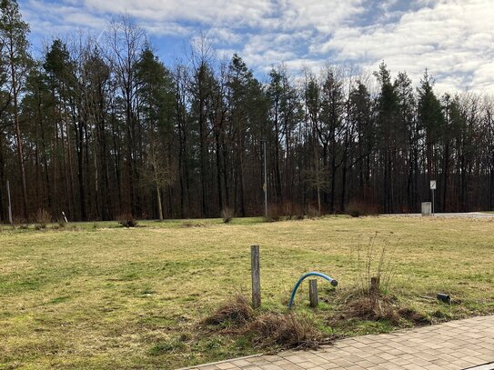 Traumgrundstück am Waldrand in Egersdorf Nord