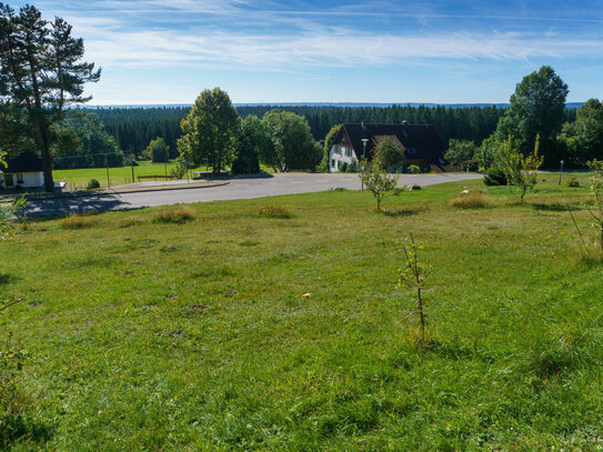 TRAUM BAUPLATZ IM HOCHSCHWARZWALD auf 1000 m ü. NN mit Schweizer Alpenblick: EFH/Ferienhaus/Bungalow