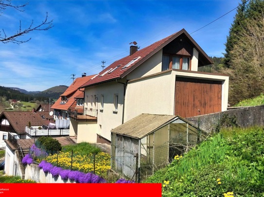 Einfamilienhaus mit atemberaubendem Ausblick in Reichenbach