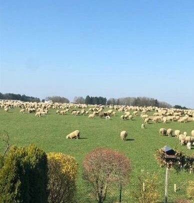 Sonniges Baugrundstück in Eglfing ( zw. Murnau und Weilheim )