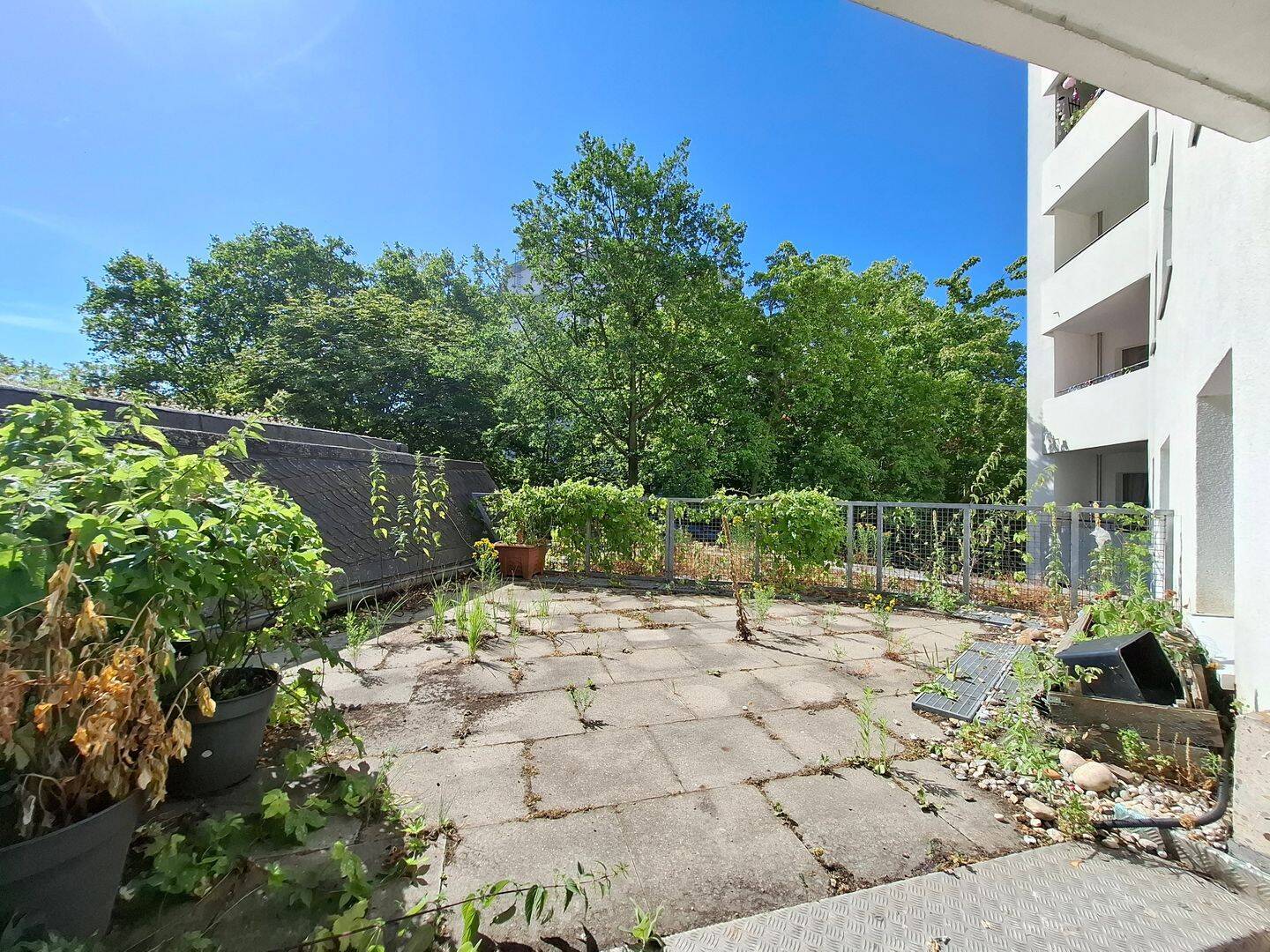 Für Mieter mit WBS-berechtigtem Einkommen - Gäste-WC, Terrasse und zusätzlicher Essbereich - Photo 1