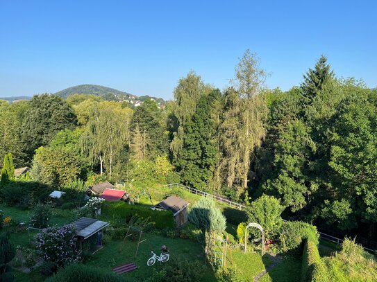 2-Raum-Wohnung mit verglastem Balkon