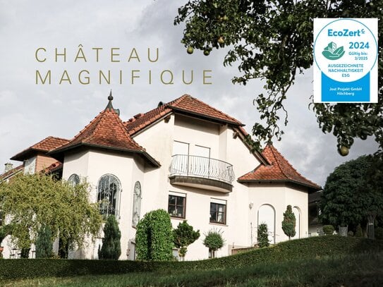 Château Magnifique